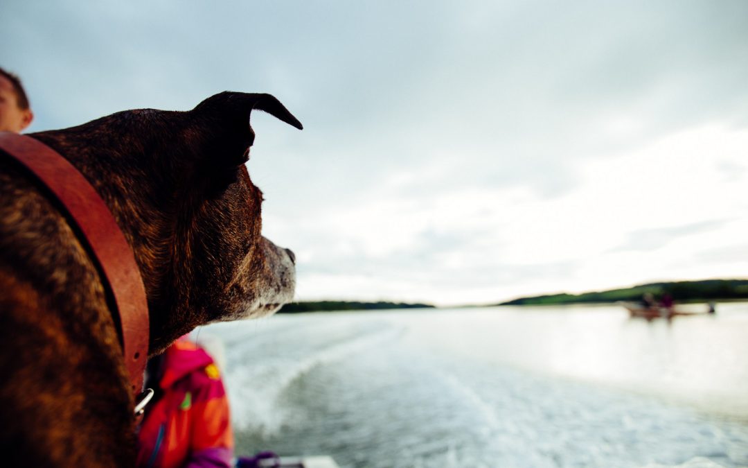Messing about in Boats