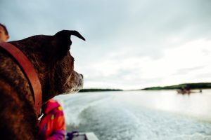 Messing about in boats 2017