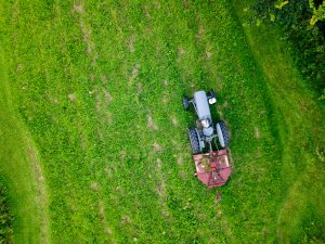 Creek visitors and drone testing