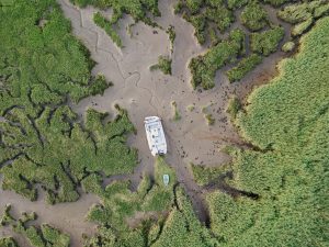 Creek visitors and drone testing