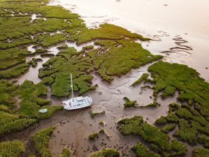 Creek visitors and drone testing