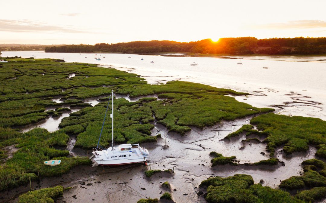 Creek Visitors and Drone testing