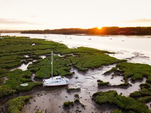 Creek visitors and drone testing