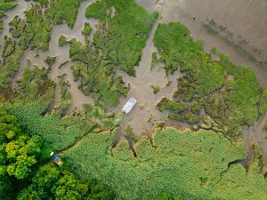Creek visitors and drone testing