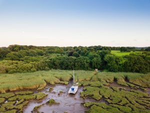 Creek visitors and drone testing