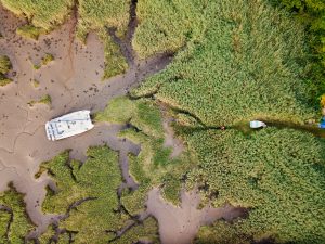 Creek visitors and drone testing