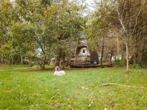 Cwtch Camping map