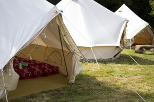The Big Cwtch 2014