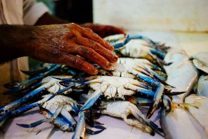 Kuwait street photography