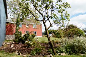 Waun fawr farm
