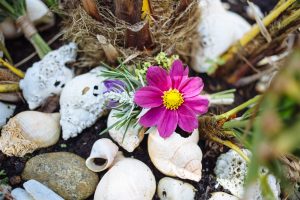 By the Sea Pembrokeshire Florist