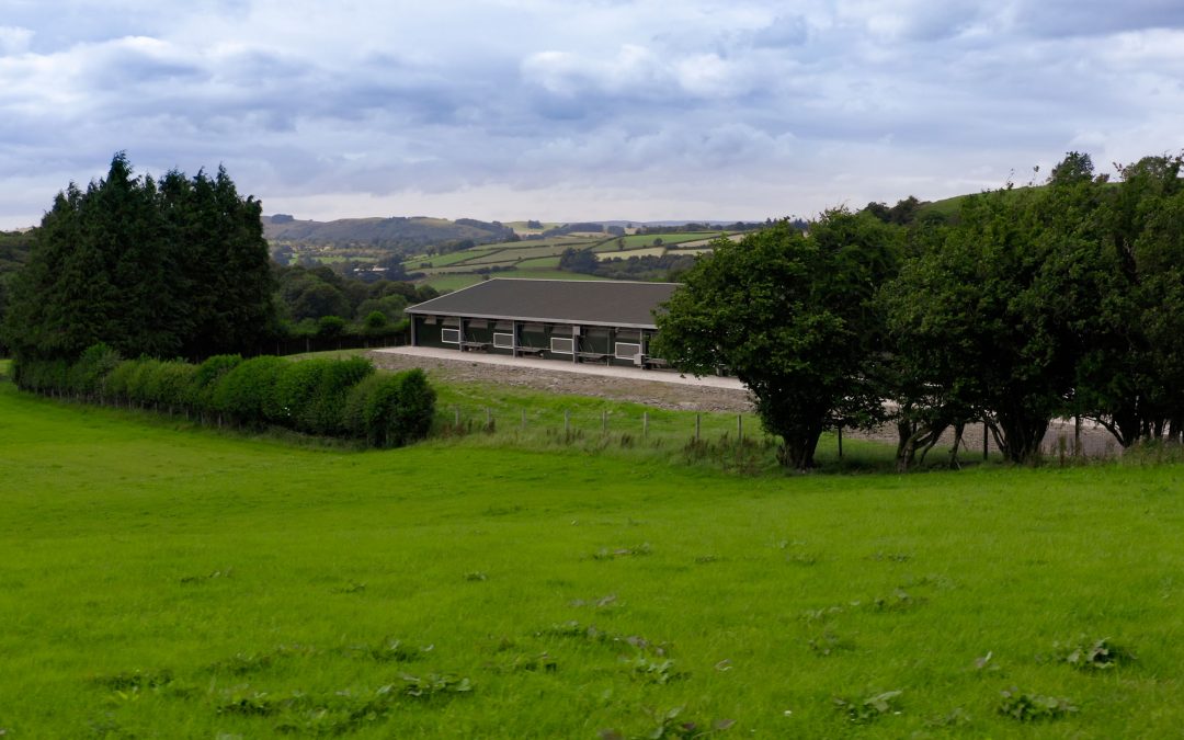 Tan House Farm, Capestone Organic Poultry