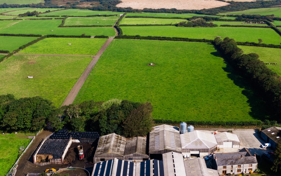 First Milk, Embracing Renewable Energy